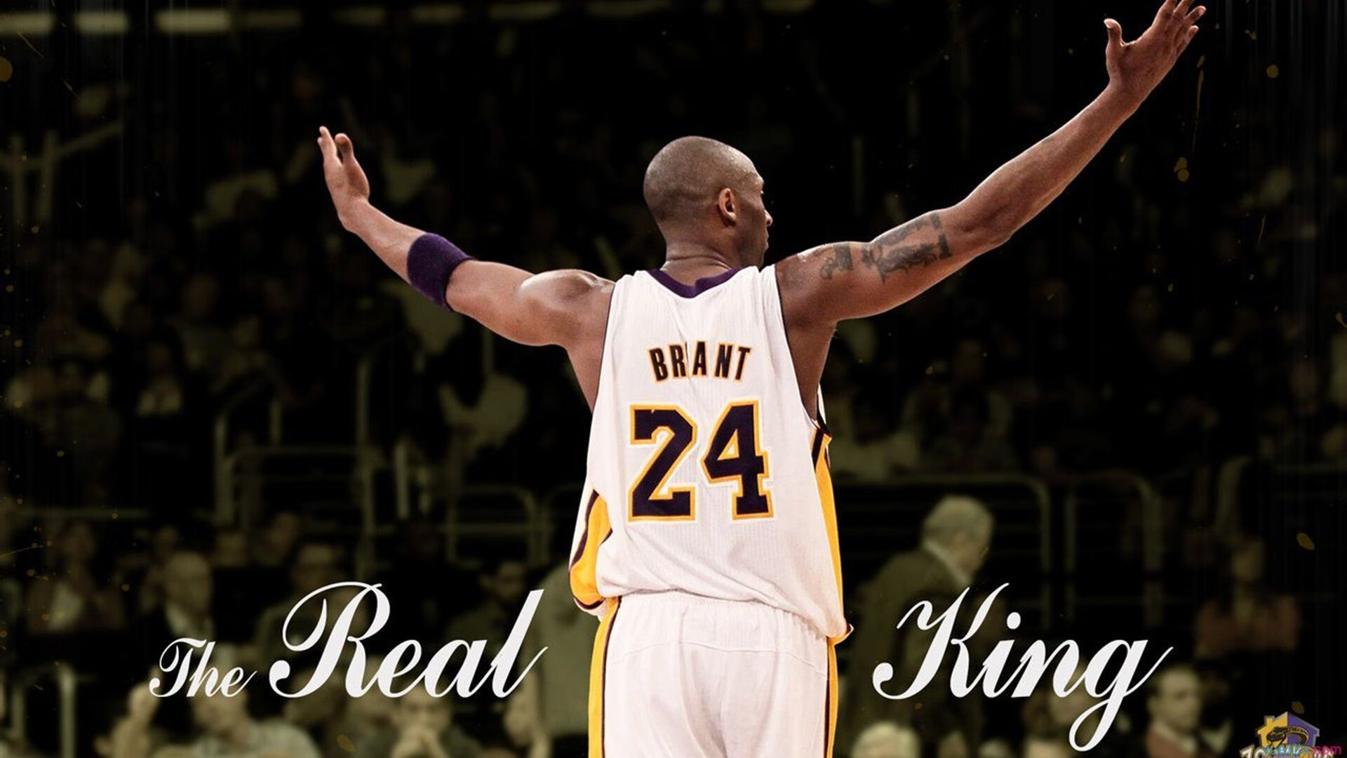 王者荣耀赛事热度不减成为主流观赛选择,王者荣耀 观赛